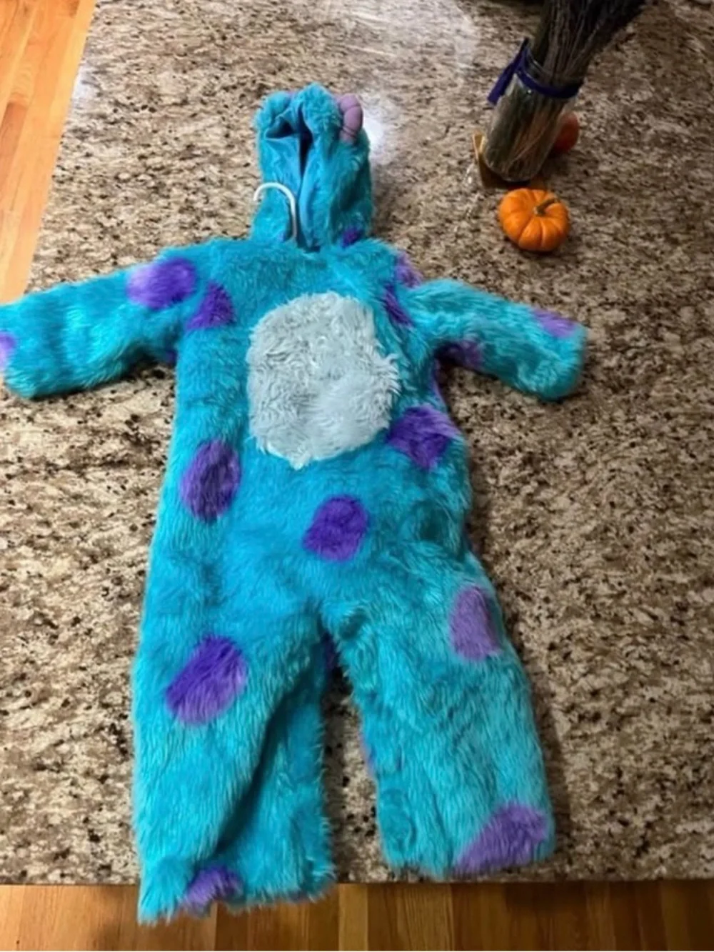 Pottery Barn Kids Monsters Inc Sully costume - Picture 2 of 4